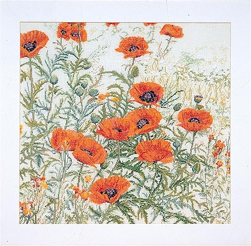 Thea Gouverneur - Kit de punto de cruz, amapolas naranjas, Aida, 16 unidades, kit de bordado para adultos, hilos de bordado DMC y otros suministros