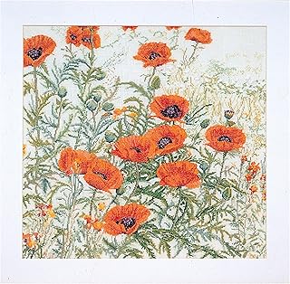 Thea Gouverneur - Counted Cross Stitch Kit - Orange Poppies - Aida - 16 Count - Embroidery Kit for Adults - DMC Embroidery Threads and Other Cross Stitch Supplies Included - 2062A