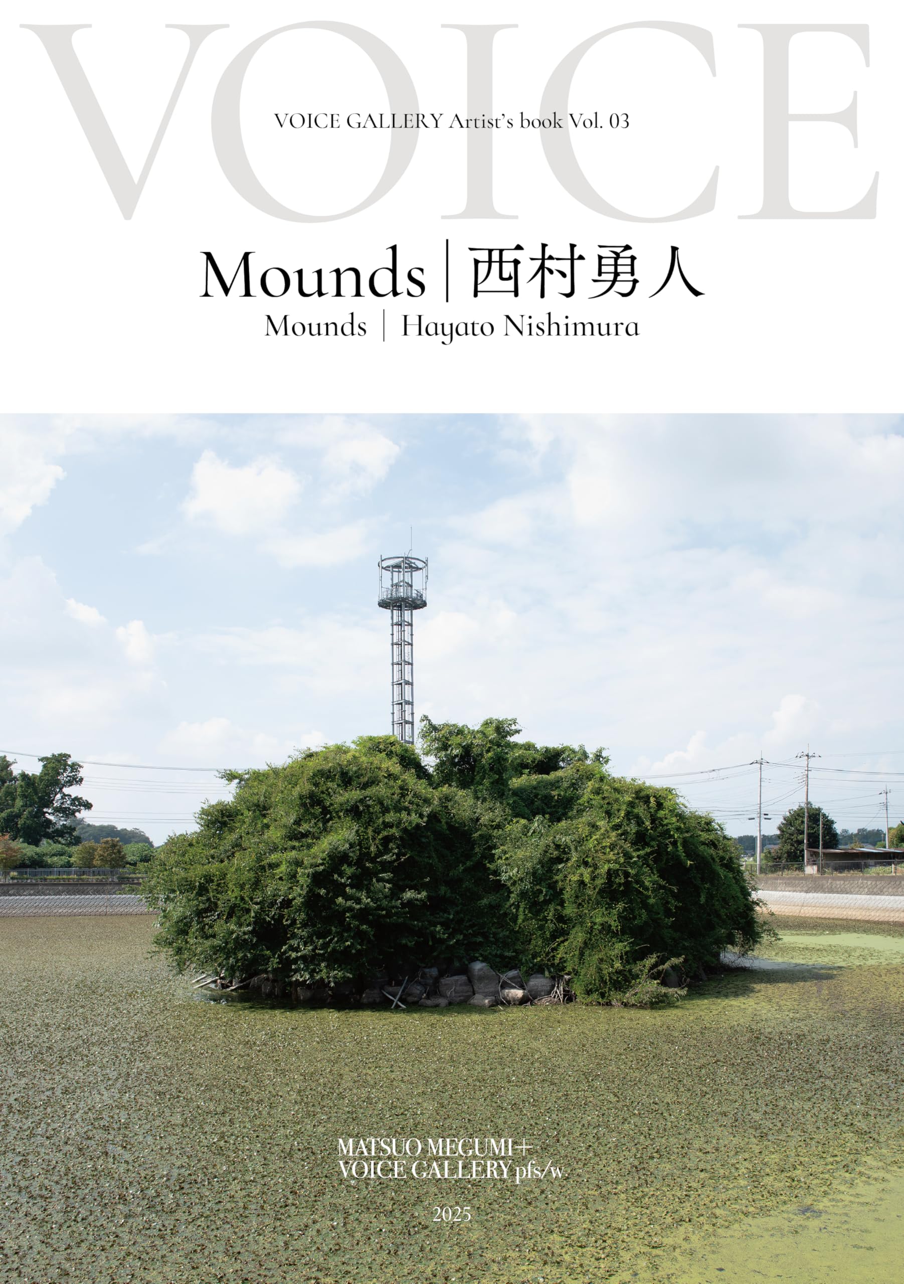 Mounds VOICE Japanese Edition comblez votre manque de pressages originaux nippons