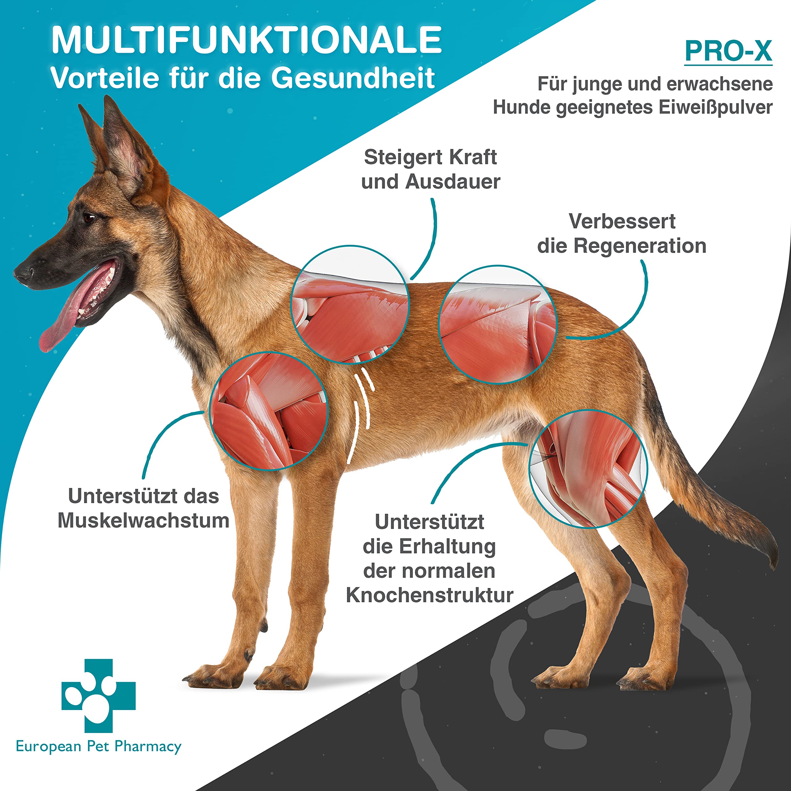 Pro-X Getreidefreies Hypoallergenes Nahrungsergänzungsmittel Hund aus Getrockneten Insekten von European Pet Pharmacy–insekten protein hund–Proteinpulver für den Muskelaufbau – Ab 1 Jahr – 300g Pulver