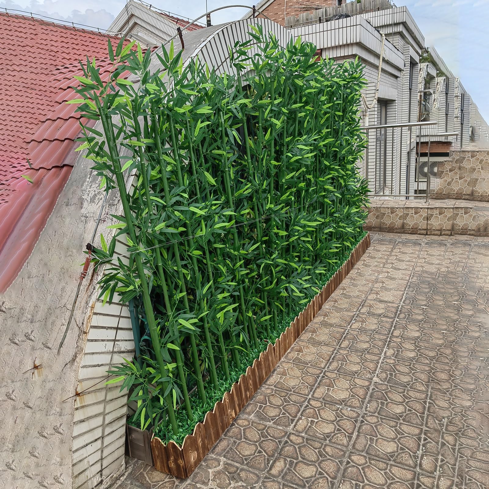 bambus nicht austreibend Fargesia scabrida 'Asian Wonder' 80-100 cm – Immergrüner Sichtschutz B –  Blumen-Senf®