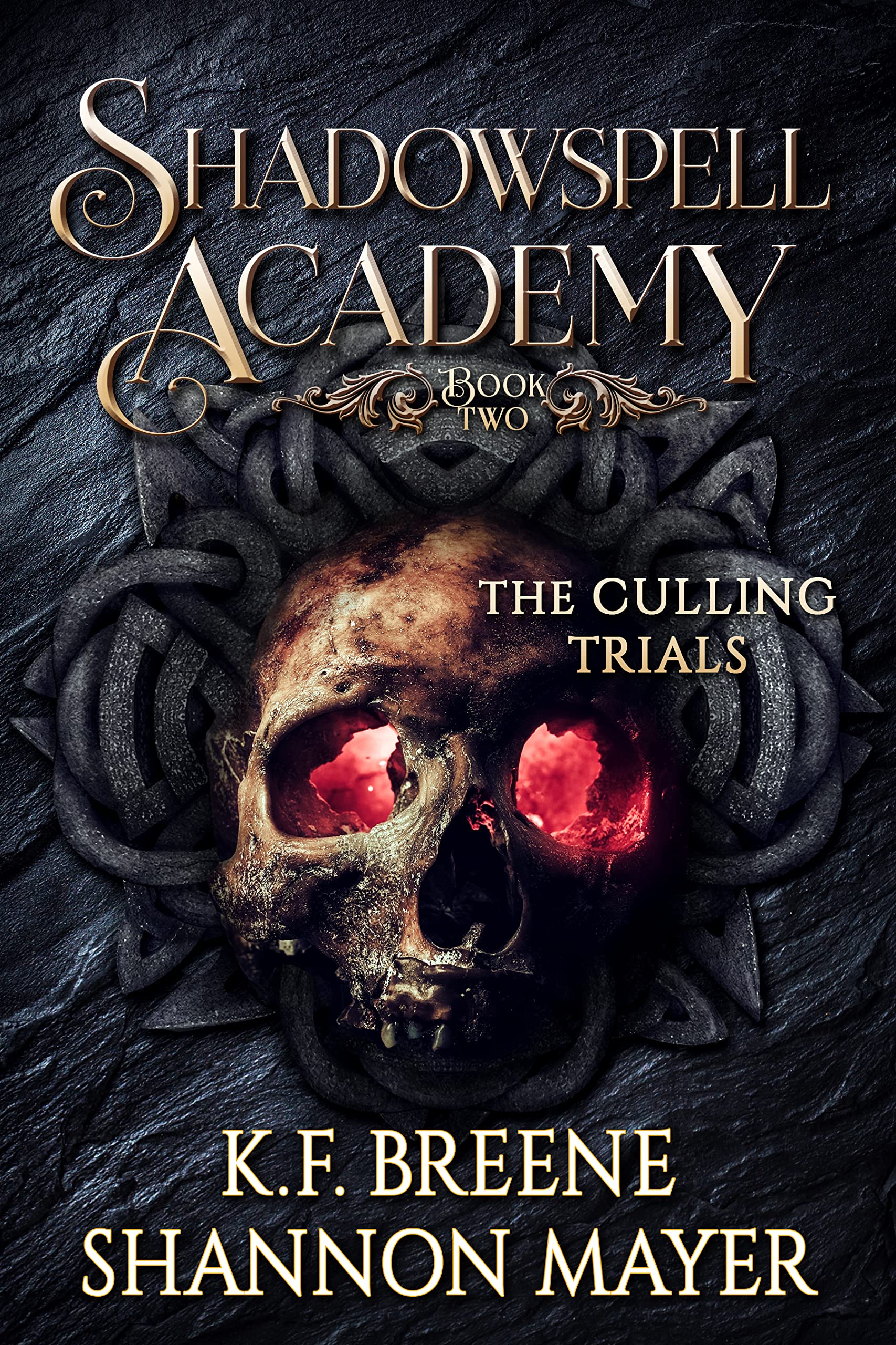 Shadowspell Academy: The Culling Trials (Book 2)