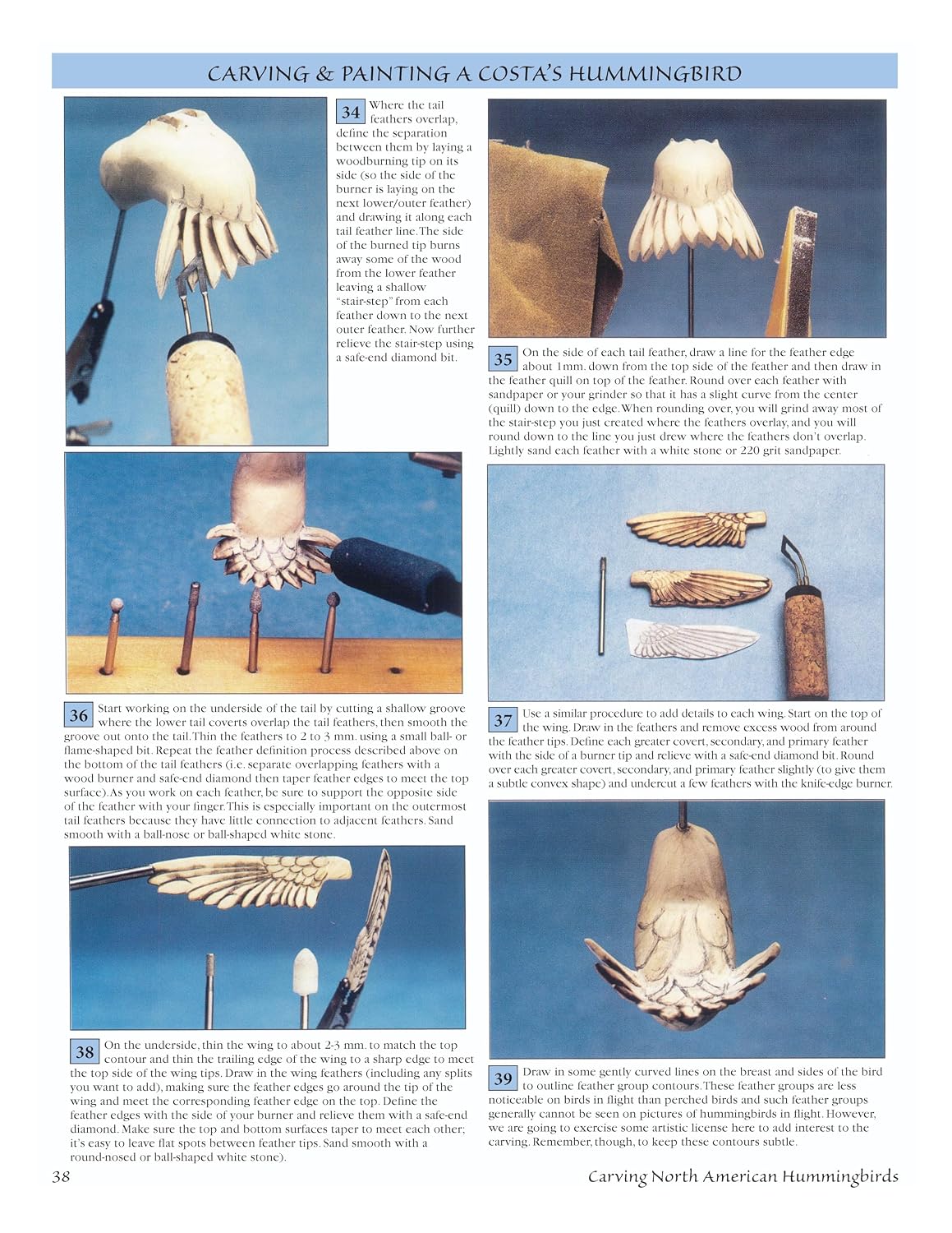 Carving North American Hummingbirds & Their Habitat: Includes: Special Habitat Carving and Construction Details
