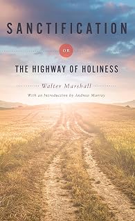 Sanctification or The Highway of Holiness