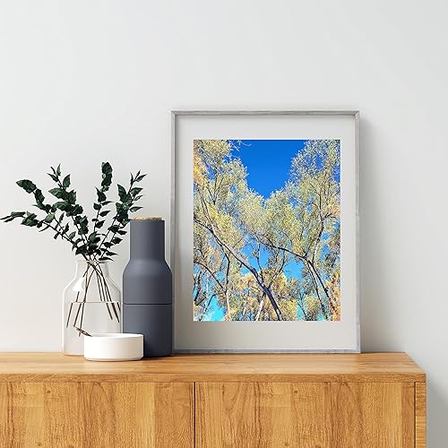 Miniatura 3 de San Pedro River Arizona Cottonwood Tree Autumn Forest Nature Print