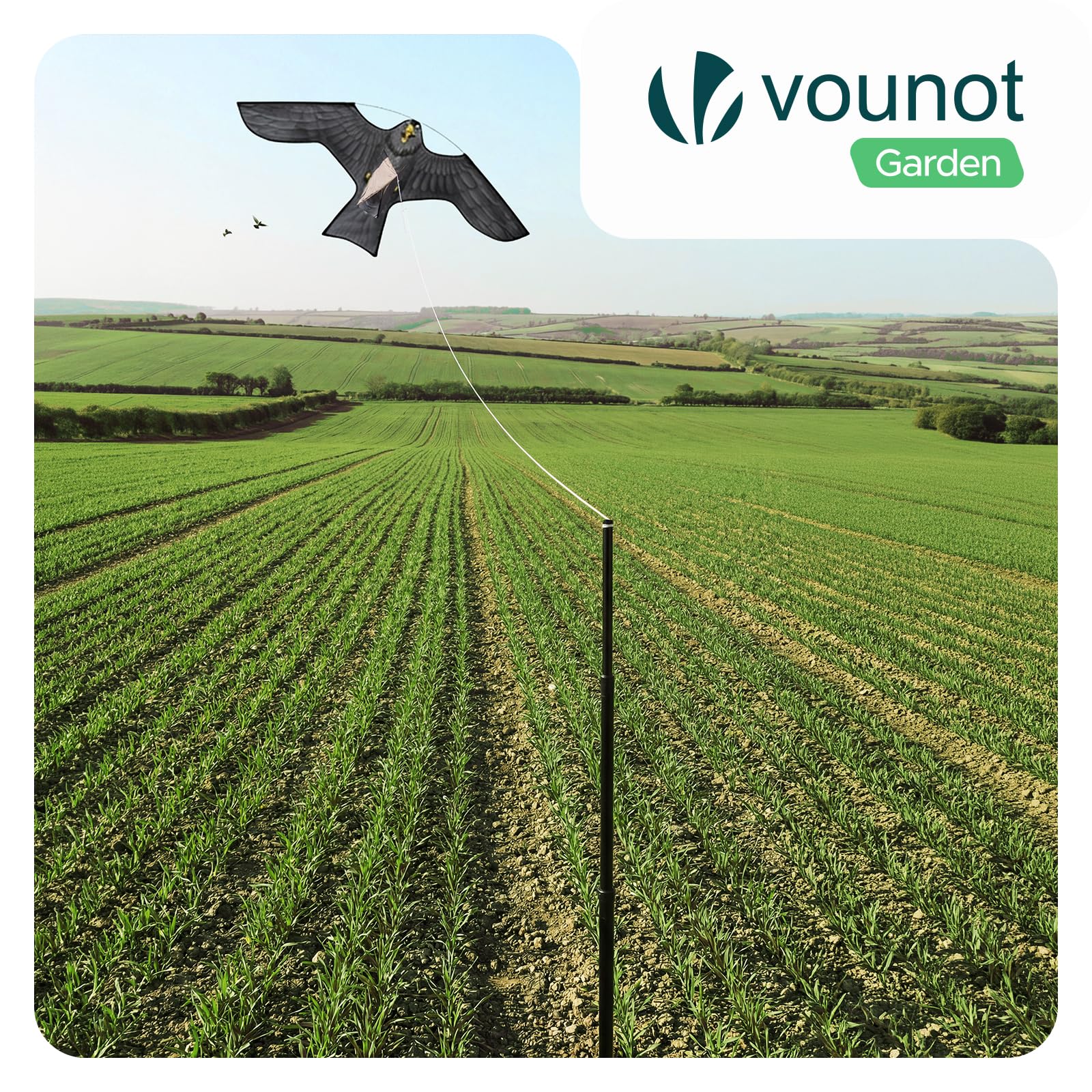 VOUNOT® Vogelschreck Drachen, Vogelabwehr Falke Flugdrachen realistisch mit 4 m Teleskopstange, Vogelbekämpfung und zum Schutz der Ernte für Garten, Bauernhof & Feld, 2 Stück, Stil D & G