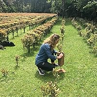 Vista 5 de Kolorex Cuidado intestinal Candida Balance (Advanced Candida Care) 60ct