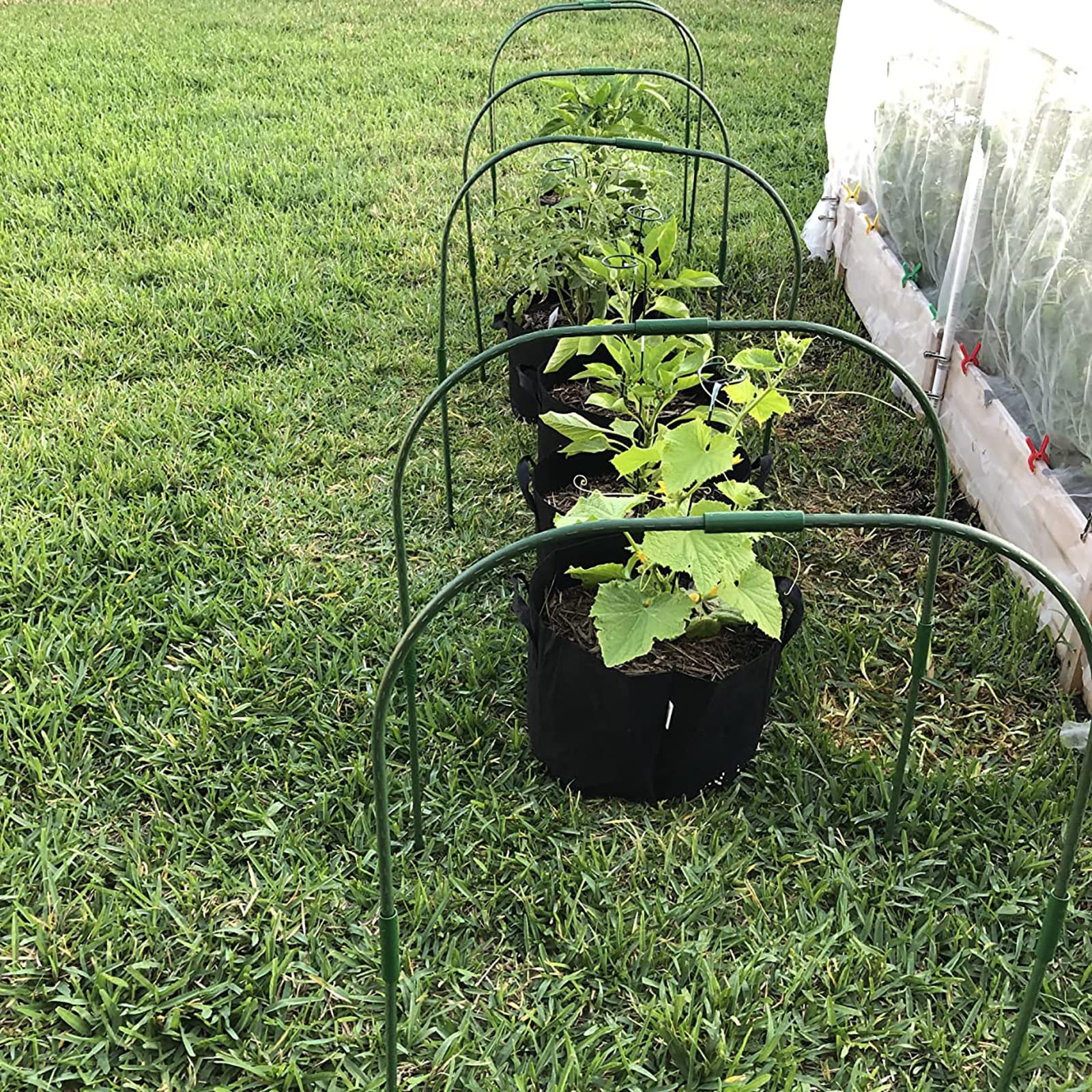 Tunnel da giardino per aiuole rialzate, 6 set da 65 x 80 cm, cerchi in acciaio antiruggine, supporto per piante da giardino per tessuto da giardino, copertura per file, rete da giardino