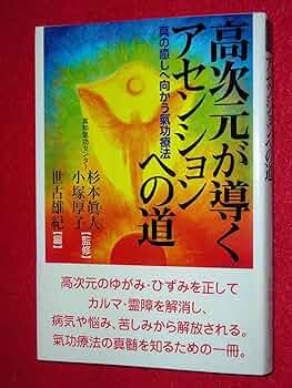 高次元気功セミナー DVD 2枚組 高次元気功セミナー DVD 2枚組 DVD