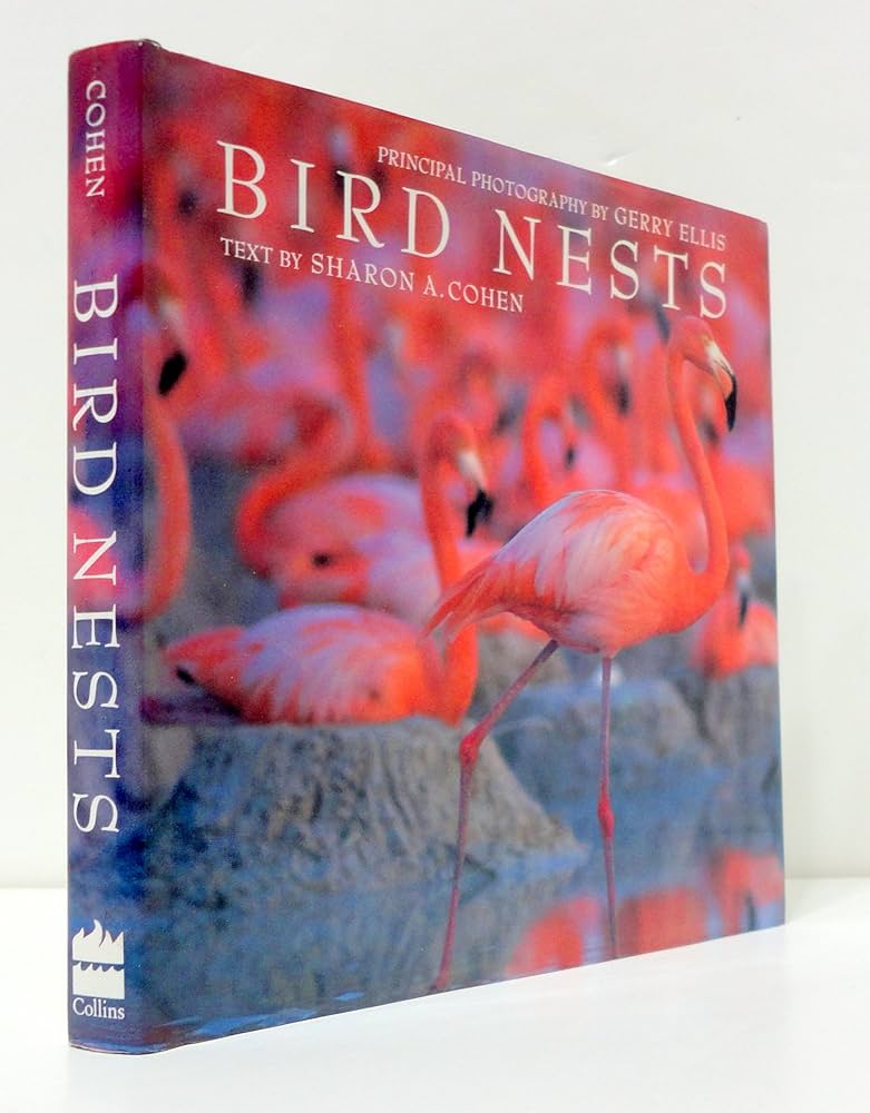 bird bird’s nest 新品2LPレコード bird bird's nest 新品2LPレコード