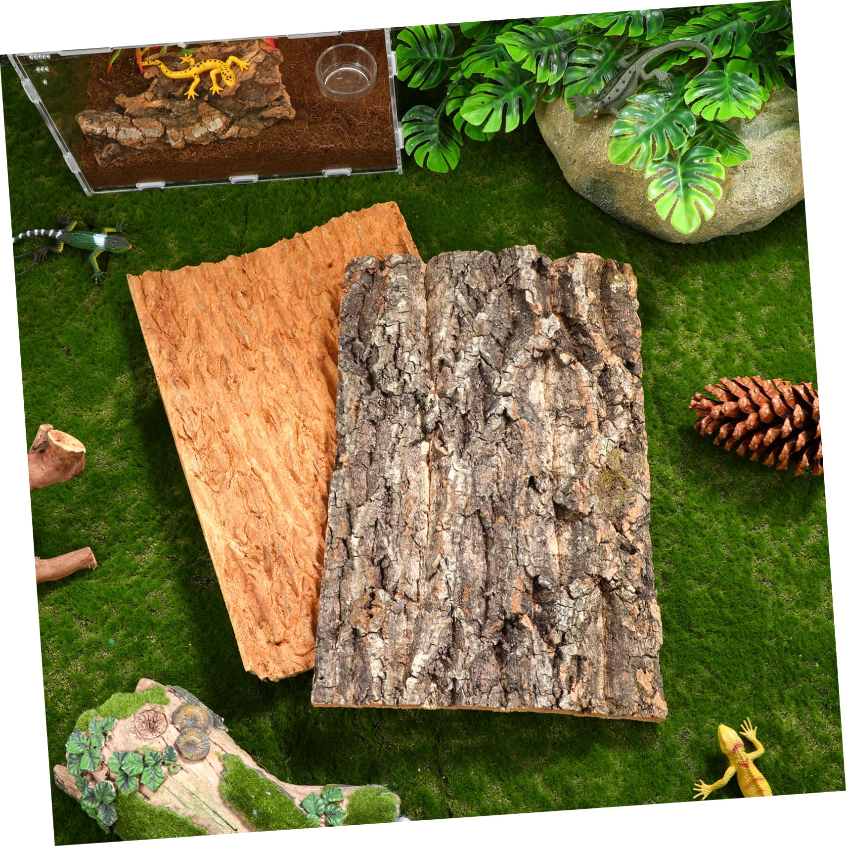 TOYANDONA 2 Pezzi Corteccia di Albero per Terrario Accessorio per Rettili Piattaforma per Arrampicata e Decorazione Naturale per Ragni e Lucertole
