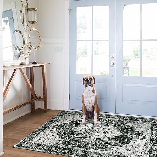 Vista 410 de Moynesa Alfombra de pasillo ultrafina lavable, vintage, de 2 pies 6 x 8 pulgadas, antideslizante, resistente a las manchas, resistente a