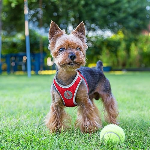 Miniatura 10 de KZA306-14XL - Arnés de malla reflectante para perro, sin tirones, ajuste rápido, cómodo, ajustable, arnés de chaleco para mascotas, para caminar,
