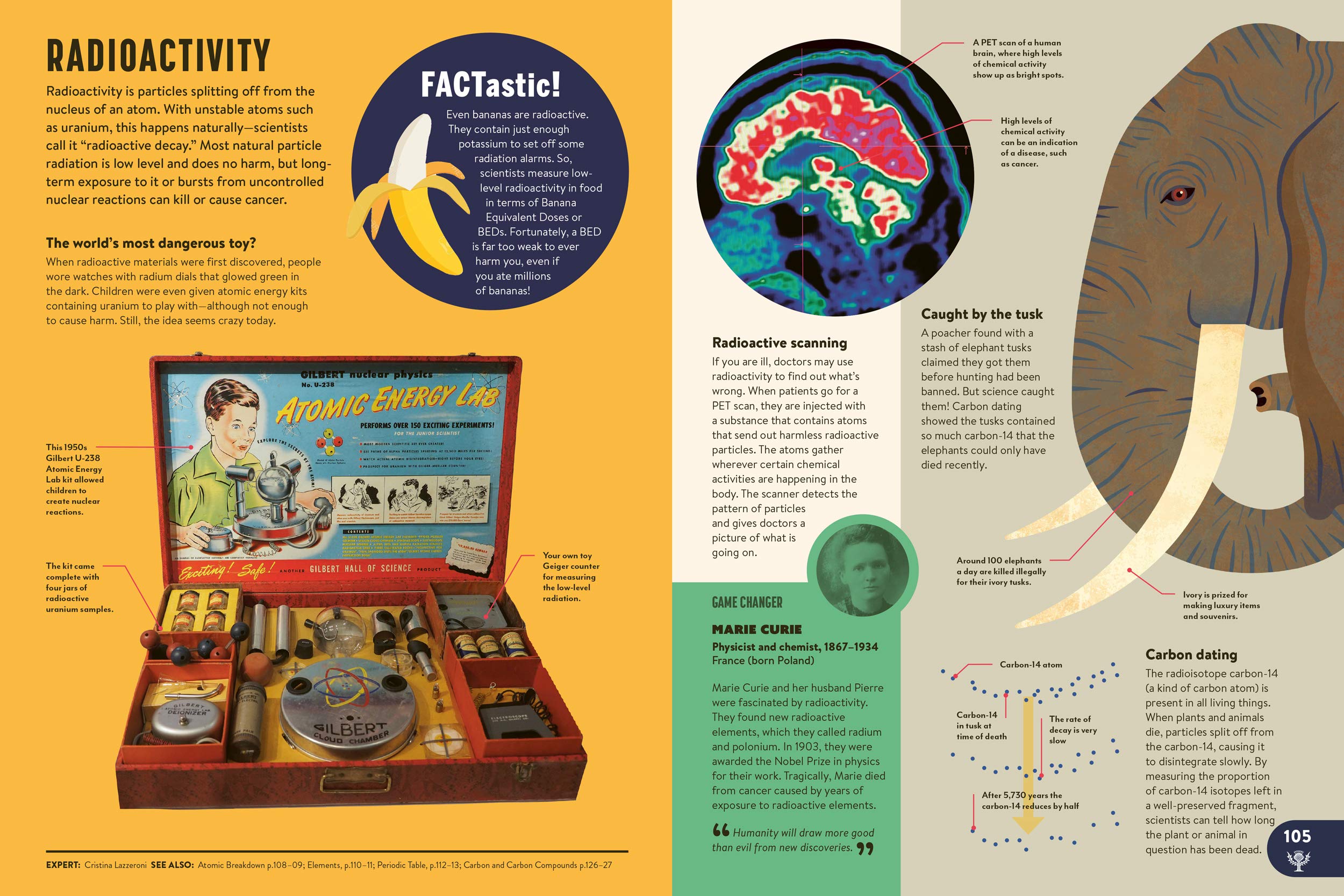 Britannica All New Children's Encyclopedia: Luxury Limited Edition: What We Know & What We Don't