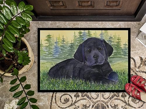 Miniatura 3 de Caroline's Treasures SS8343JMAT - Tapete Labrador para puerta delantera, 24 x 36 pulgadas, para interiores y exteriores, para entrada,