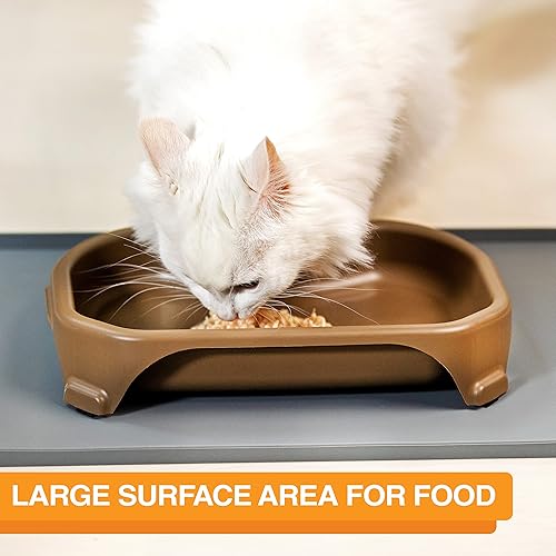 Vista 3 de Neater Pet Brands Large Capacity Cat Bowls, Water Bowl for Cats, Reptiles, Chickens, Birds, & Small Animals, Cat Food Bowl (6 Cups), Indoor or