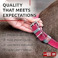 Vista 3 de WAUDOG Collar de cuero de larga duración para perros grandes, medianos y pequeños – Collares clásicos ajustables para cachorros de raza grande