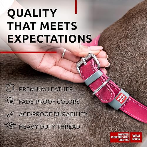 Miniatura 3 de WAUDOG Collar de cuero de larga duración para perros grandes, medianos y pequeños  Collares clásicos ajustables para cachorros de raza grande