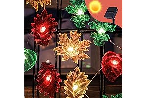Solar Fall Lights | Magical Autumn Ambiance for Your Oasis