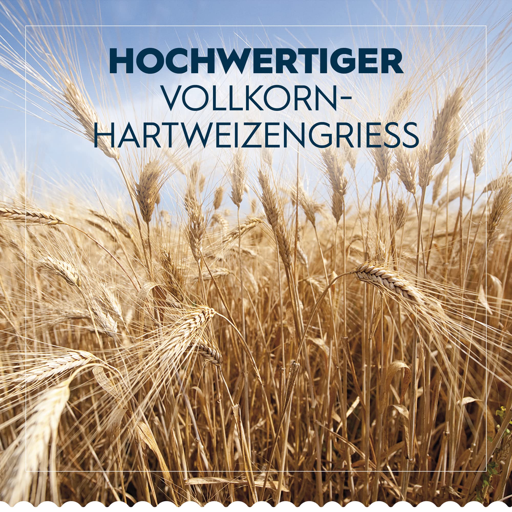 Barilla Vollkorn Pasta Spaghetti n. 5 Integrale, 15er Pack (15 x 1 kg) | Hochwertige Vollkorn Pasta für Professionals
