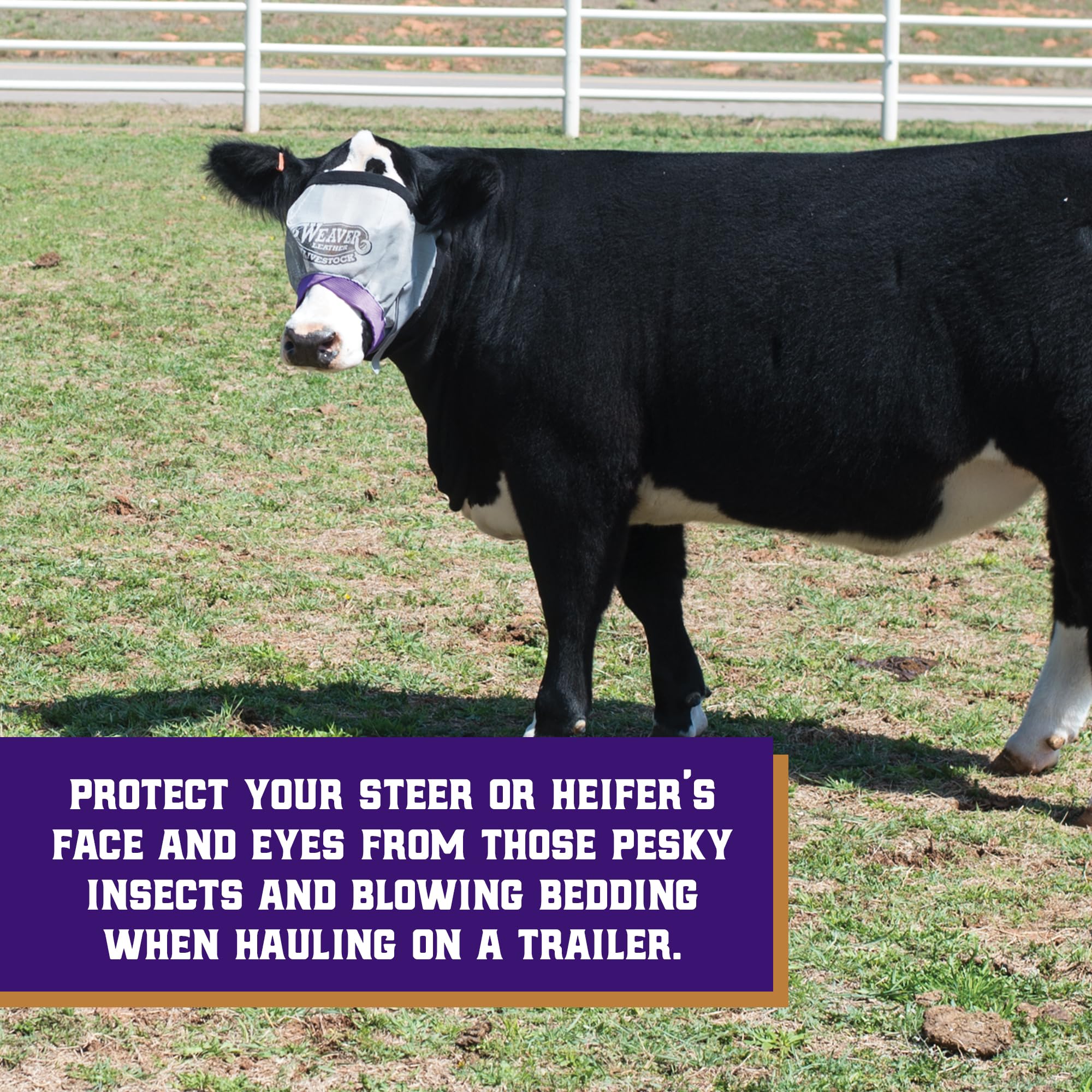 Weaver Leather Livestock Cattle Fly Mask