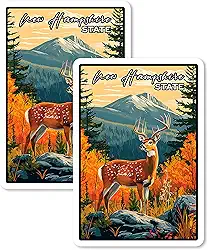 Ímã New Hampshire State 10 cm 2 pacotes de vinil para lembrança presente geladeira geladeira lava-louças ID 44999