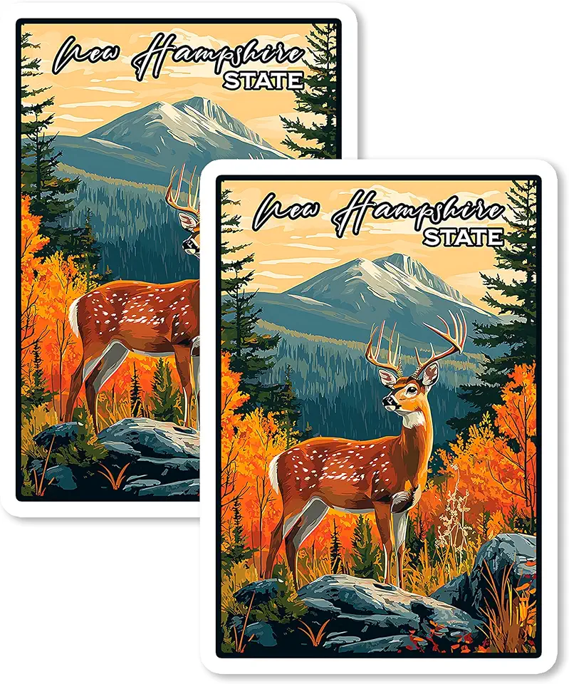 Ímã New Hampshire State 10 cm 2 pacotes de vinil para lembrança presente geladeira geladeira lava-louças ID 44999