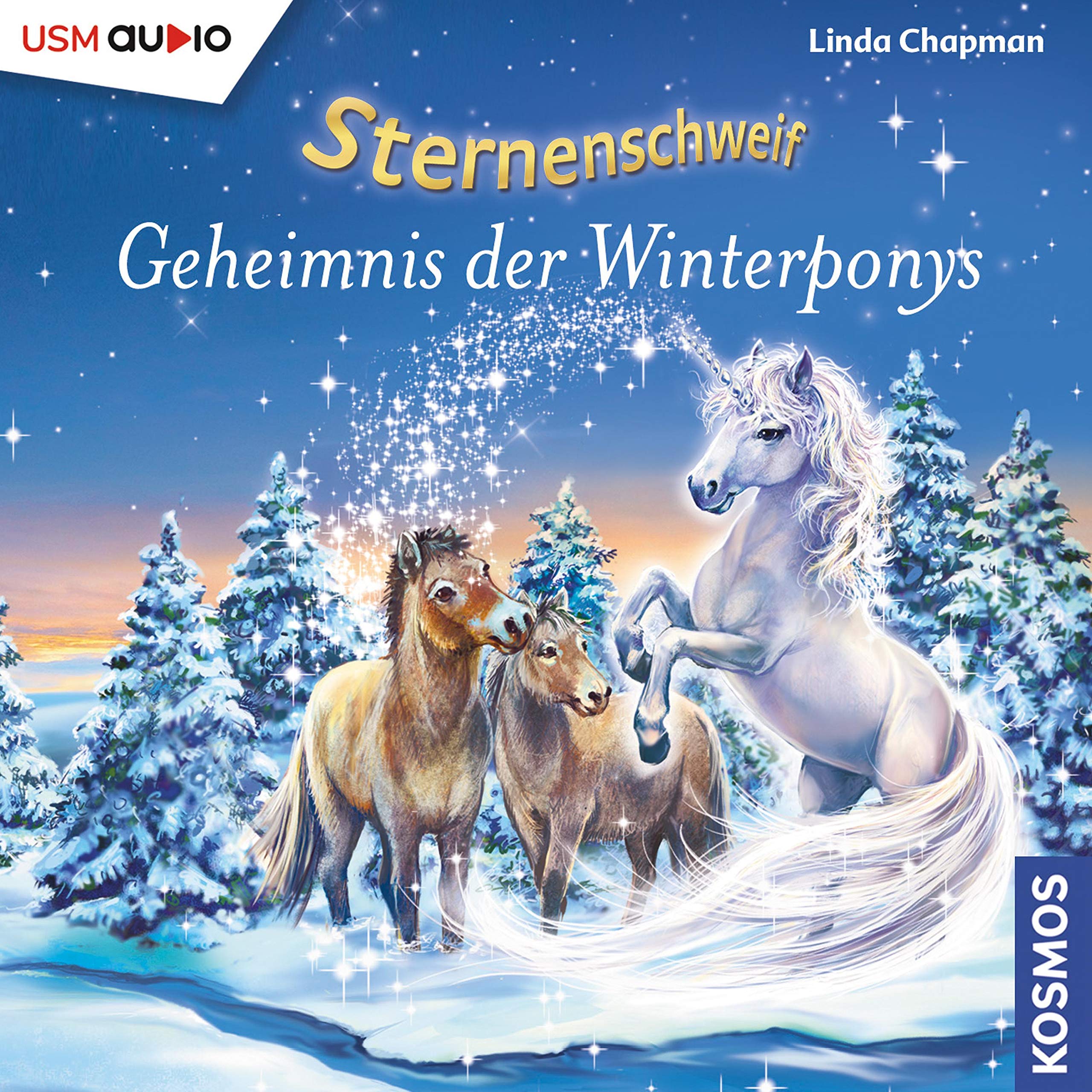 Cover art for Geheimnis der Winterponys
