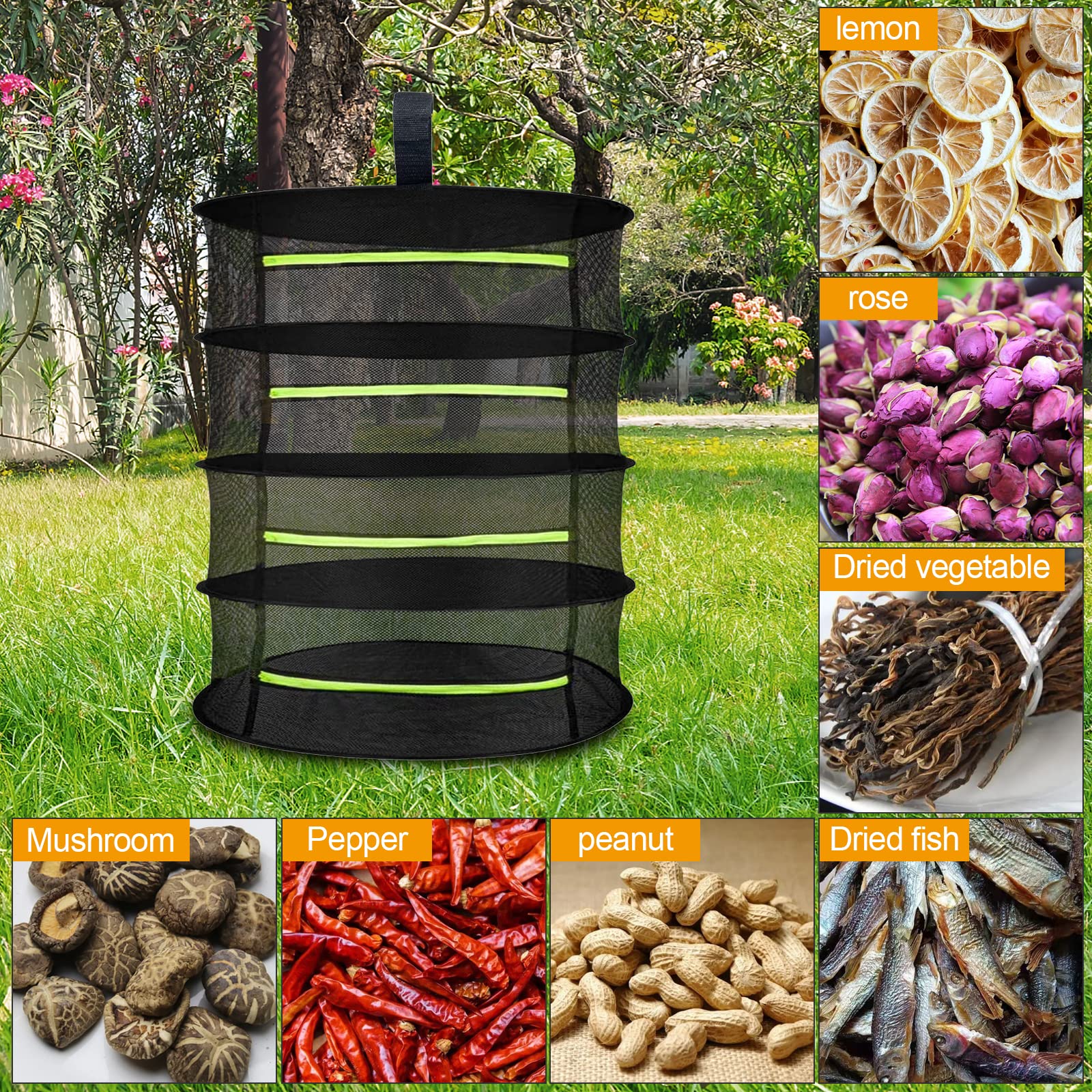 Filet de Séchage Plante, 4 Couches Filet de Séchage Suspendu Pliable, Panier de Séchage avec Fermeture à Glissière, Sèche Herbes à Suspendre avec 1 Sac de Rangement pour Légume Plante Herbe Poisson Filet de Séchage Plante, 4 Couches Filet de Séchage Suspendu Pliable, Panier de Séchage avec Fermeture à Glissière, Sèche Herbes à Suspendre avec 1 Sac de Rangement pour Légume Plante Herbe Poisson