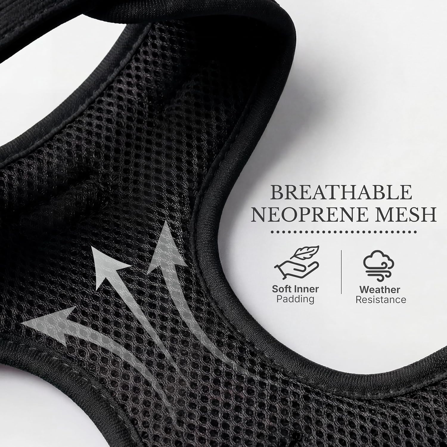 No Pull Dog Harness | Lightweight Breathable Neoprene Harness, Cute Heart Pattern, Adjustable Step-in Vest with Secure Back D-Ring, Soft Padded, for XXS-L Small Dogs–Harness Only Black