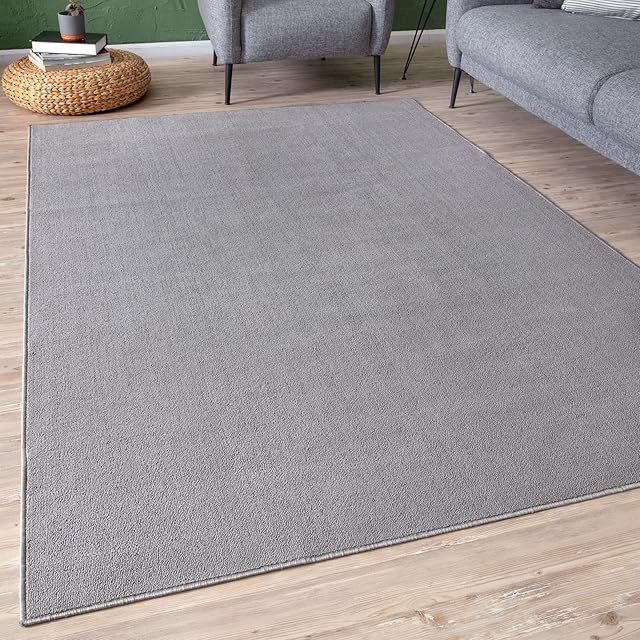 THE RUGS Low Pile Area Rugs  Modern Indoor Rugs for Living Room, Bedroom, Dining Room, Entryway  Non-Shedding (Silver, 80x300 cm)