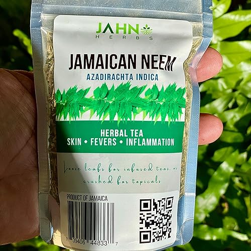 Miniatura 5 de Neem jamaicano