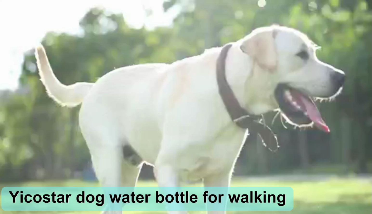Yicostar Dog Water Bottle for Walking, 20 OZ Travel Pet Water Bottle with Potty Waste Bag for Dogs, Portable Dog Water… - Image 7