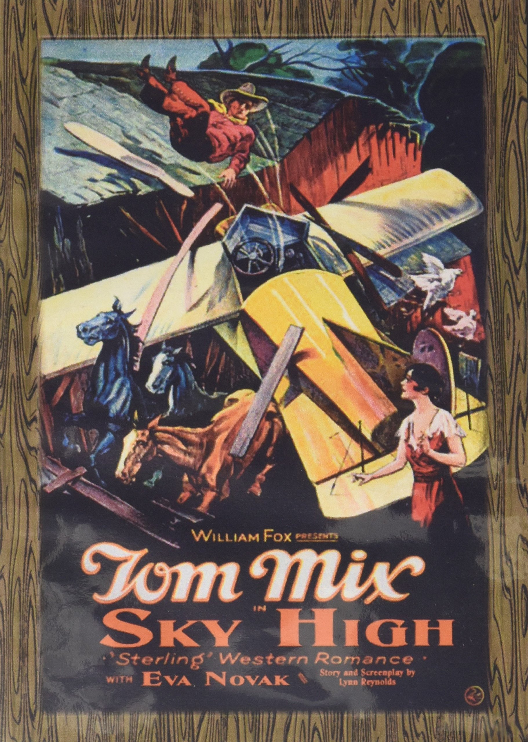 Película Sky High 1922 DVD importado con reproducción fiel de la obra original
