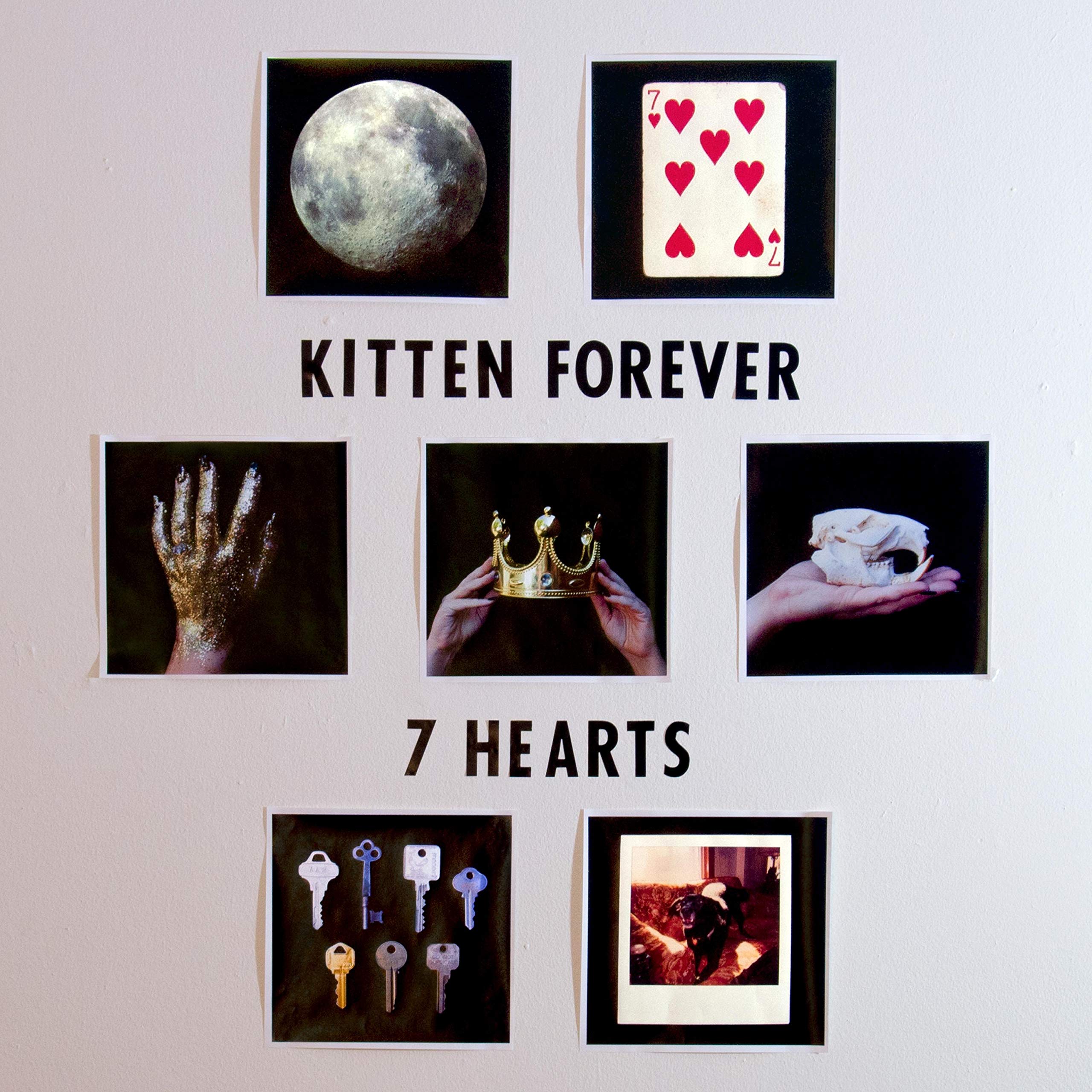 Kitten Forever