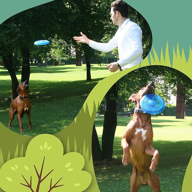 Foto 5 de 6 de rootsnoot Frisbee para perros, suave y superestable, flotante, especialmente dental, suave