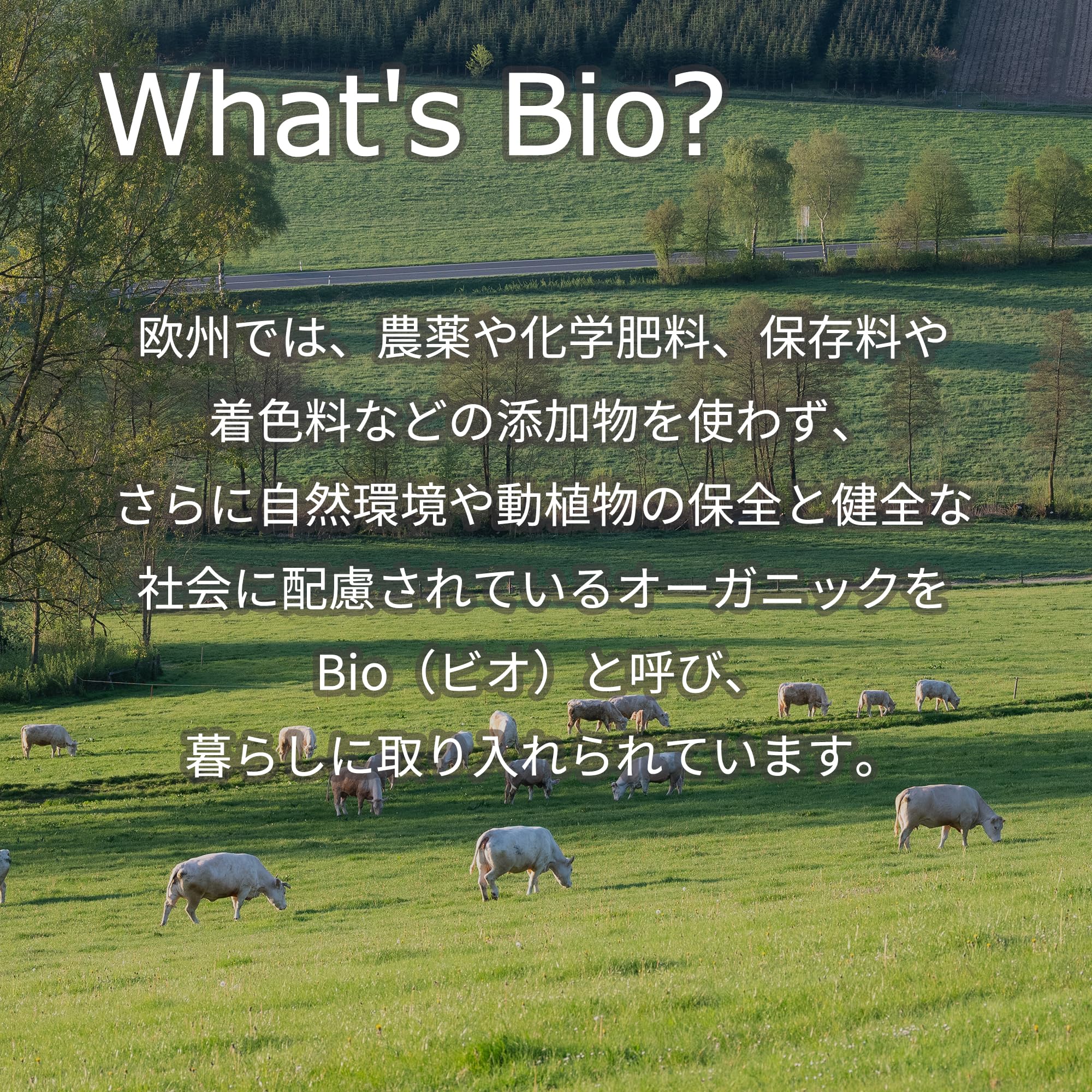 Amazon.co.jp: ビオリオーブ ドイツ産 ドッグフード ウェット パウチ