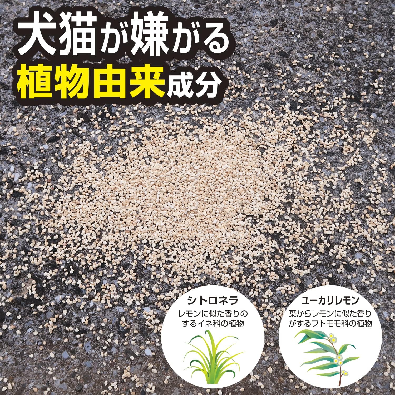 送料込 まとめ買い 10個セット 紀陽除虫菊 ネコ専用侵入対策