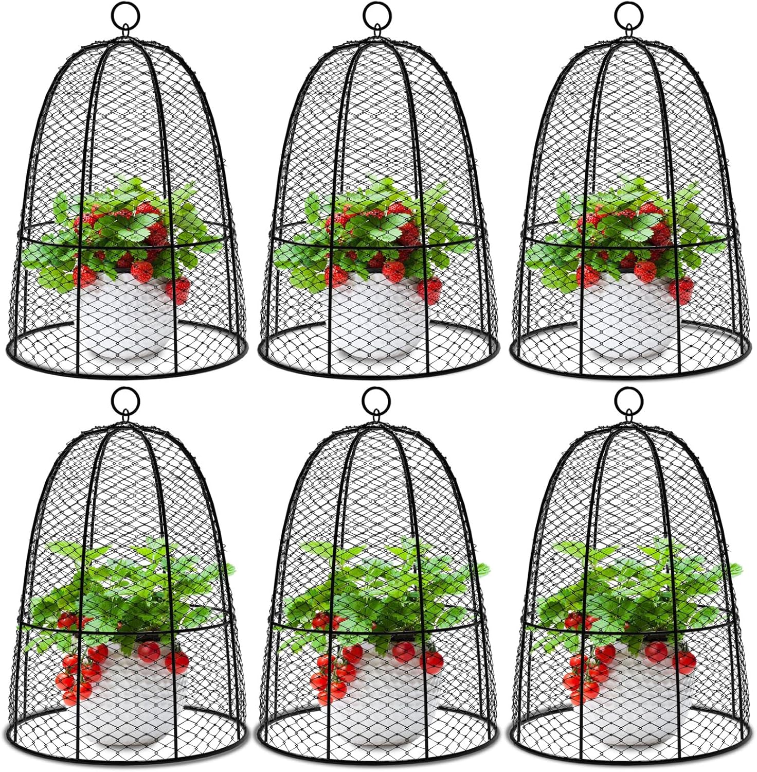 Garden Cloches for Plant, Plant Protectors Covers from Animals, Plant Cages for Outdoor Plants, Chicken Wire Plant Protectors, Keep Squirrels Out of Flower Pots, Keep Rabbits from Eating Plant (Round)