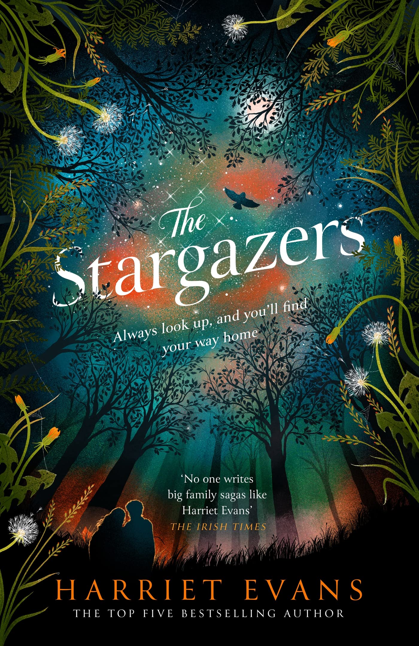 The Stargazers: A captivating, magical love story with a breathtaking twist
