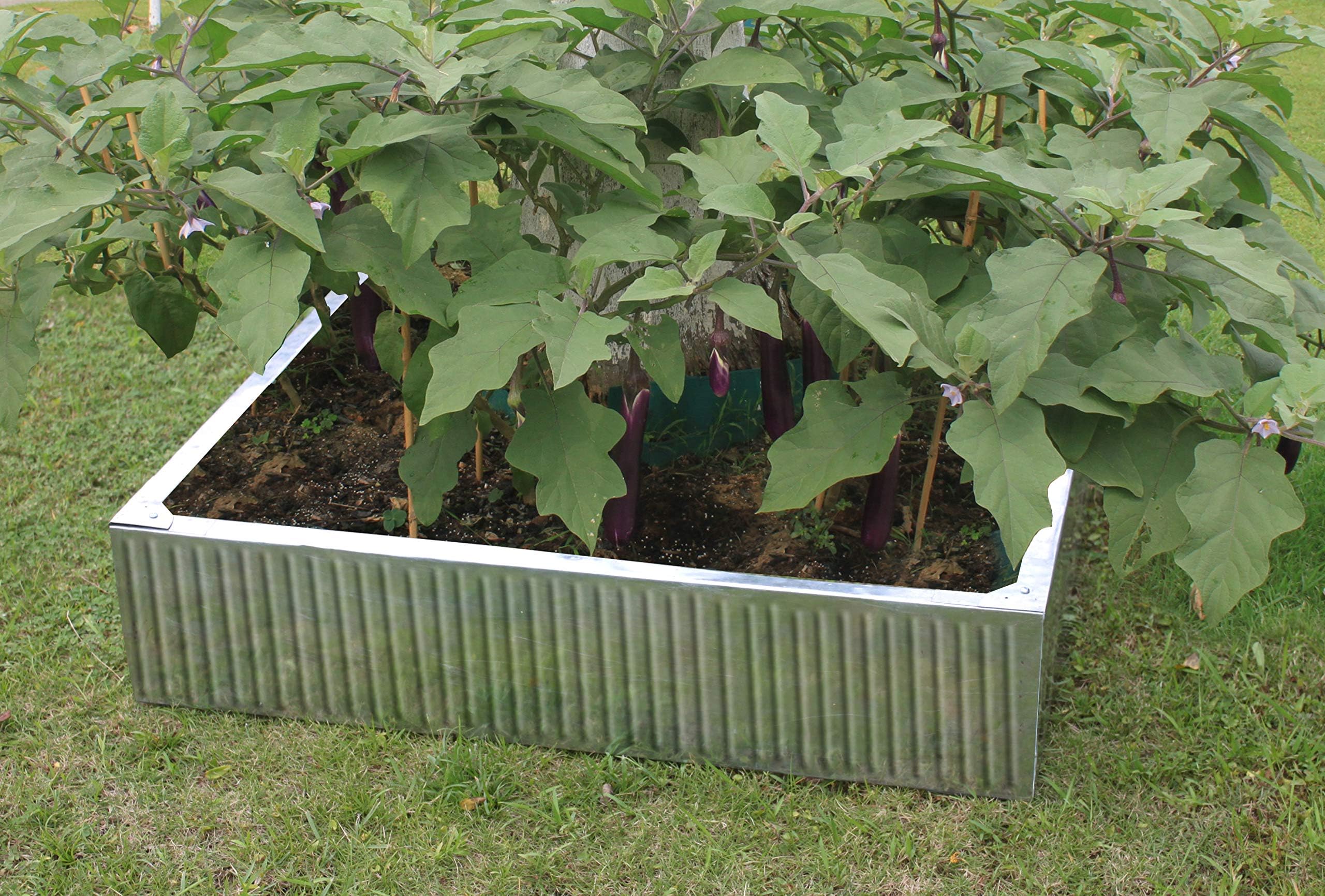 Hansons Garden Galvanised Raised Bed
