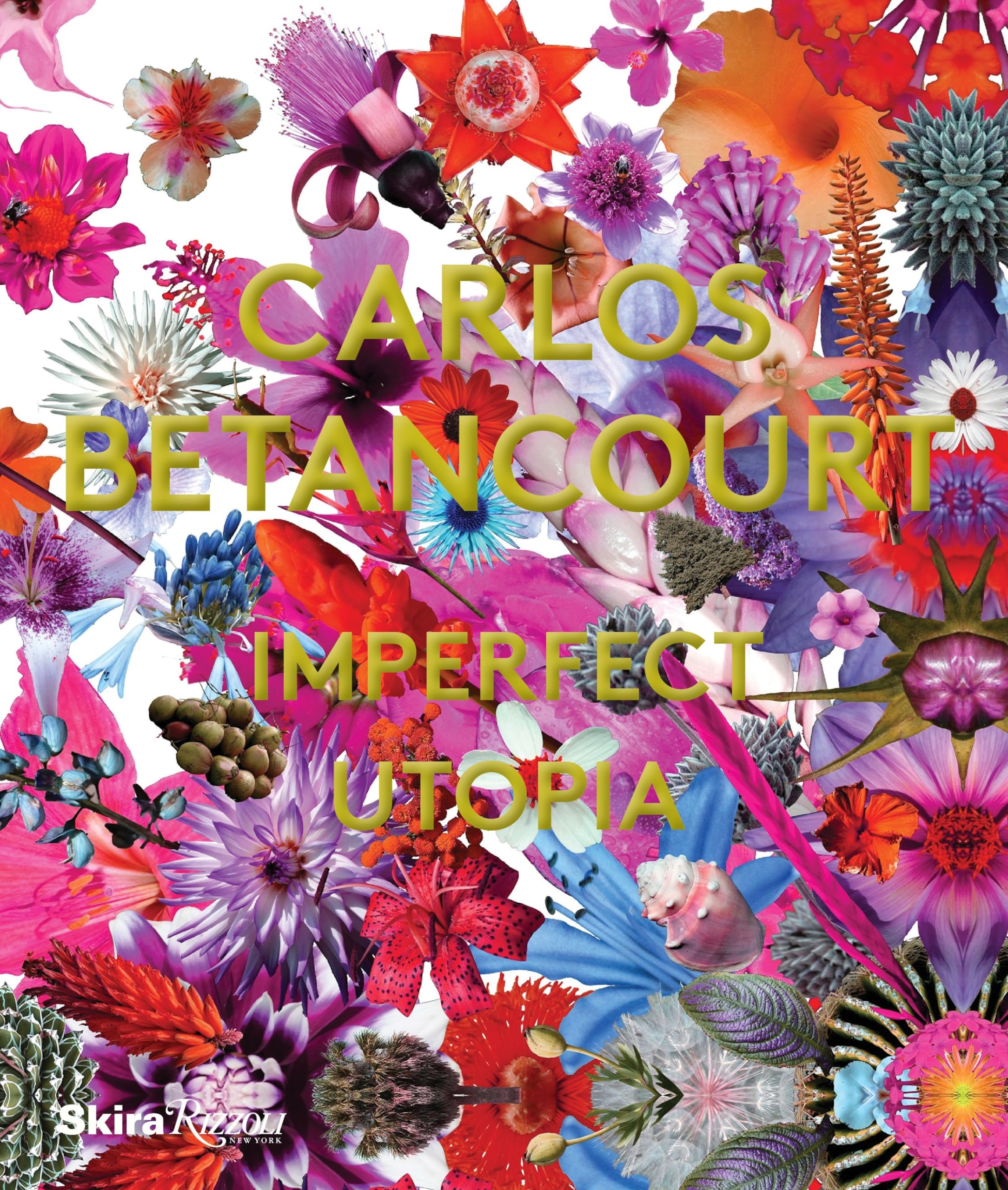 Carlos Betancourt Imperfect Utopia | Desertcart Cayman Islands