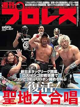 プロレス 雑誌セット 2022年版1月から12月までの54冊セット 91Ci2-DfcFL._UF350,350_QL50_.jpg