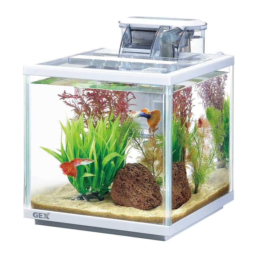 Amazon.co.jp: GEX AQUARIUM スリムアクアセット200 DC-Xポンプ