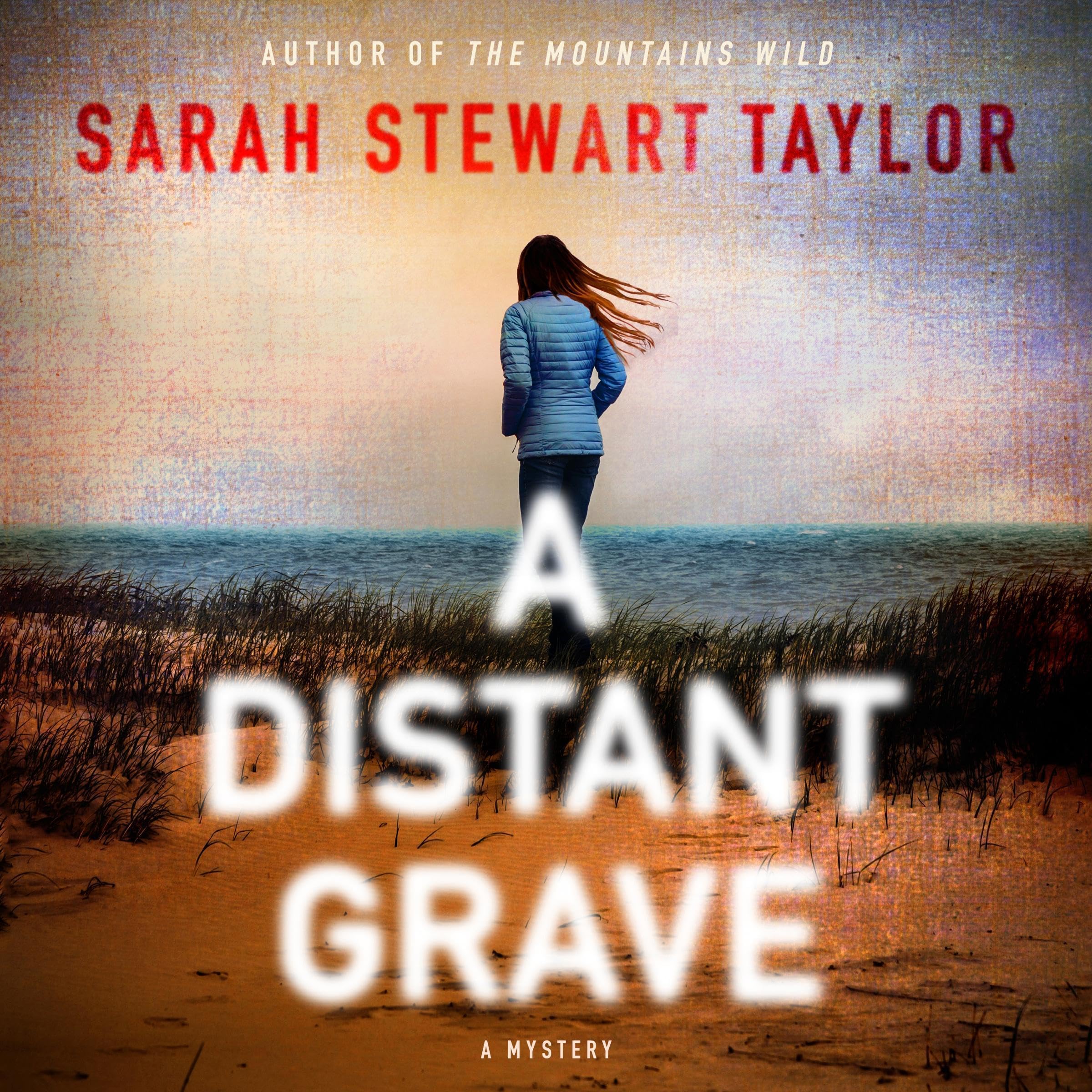 Cover art for A Distant Grave