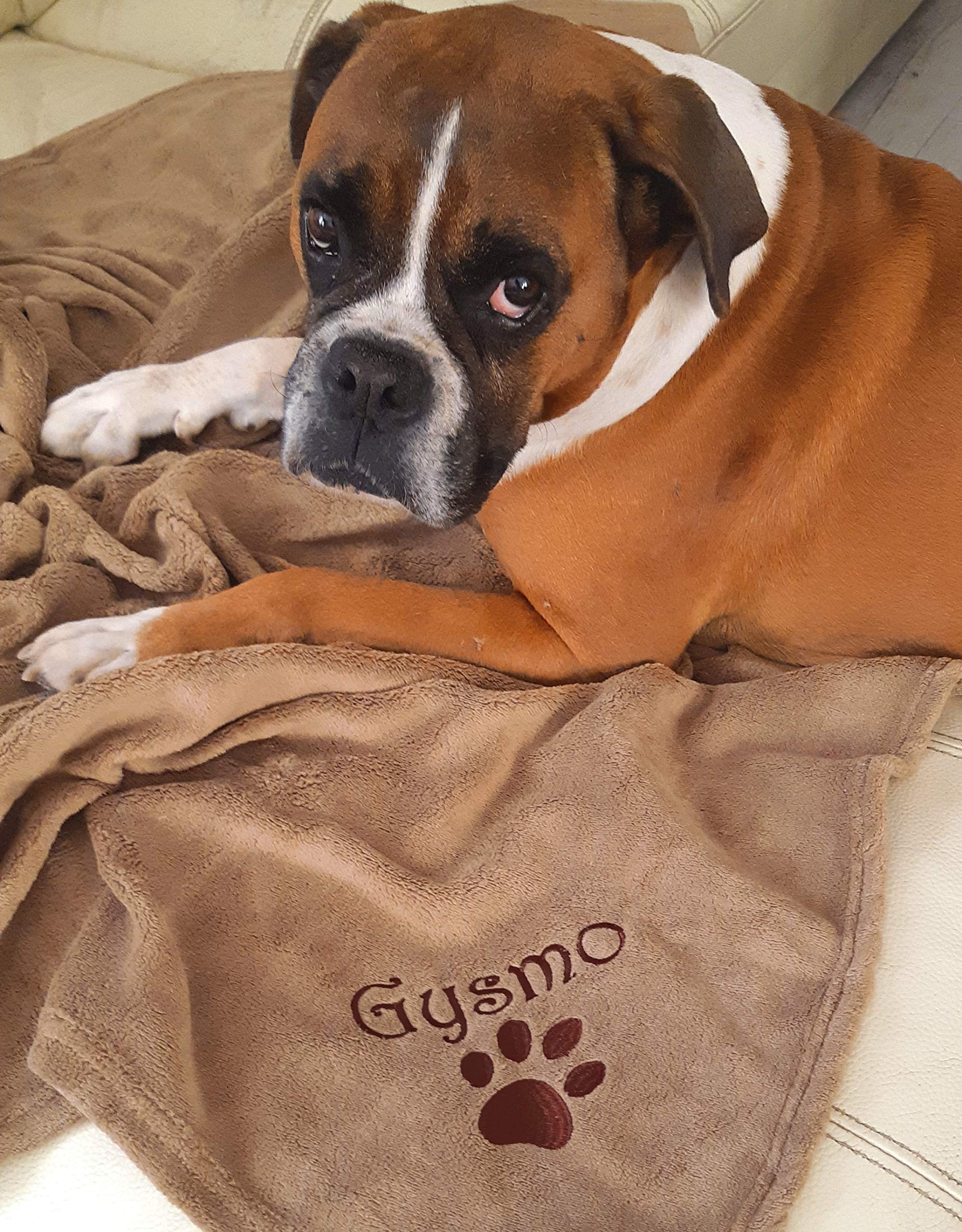 Couverture personnalisée pour Chien avec Son nom, 3 Dimensions, Motifs au Choix, Plaid, Protection canapé Fauteuil, Confortable, Polaire