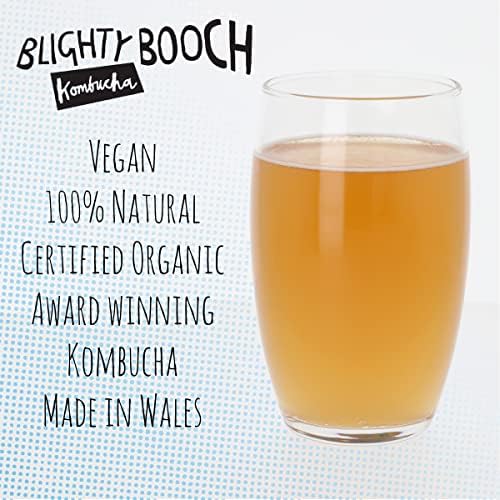 Kombucha Black Tea Starter SCOBY - Orange Pekoe - Certified Organic - Make Your Own - Blighty Booch Baby - Vegan Symbiotic Culture of Bacteria and Yeast with Starter Fluid