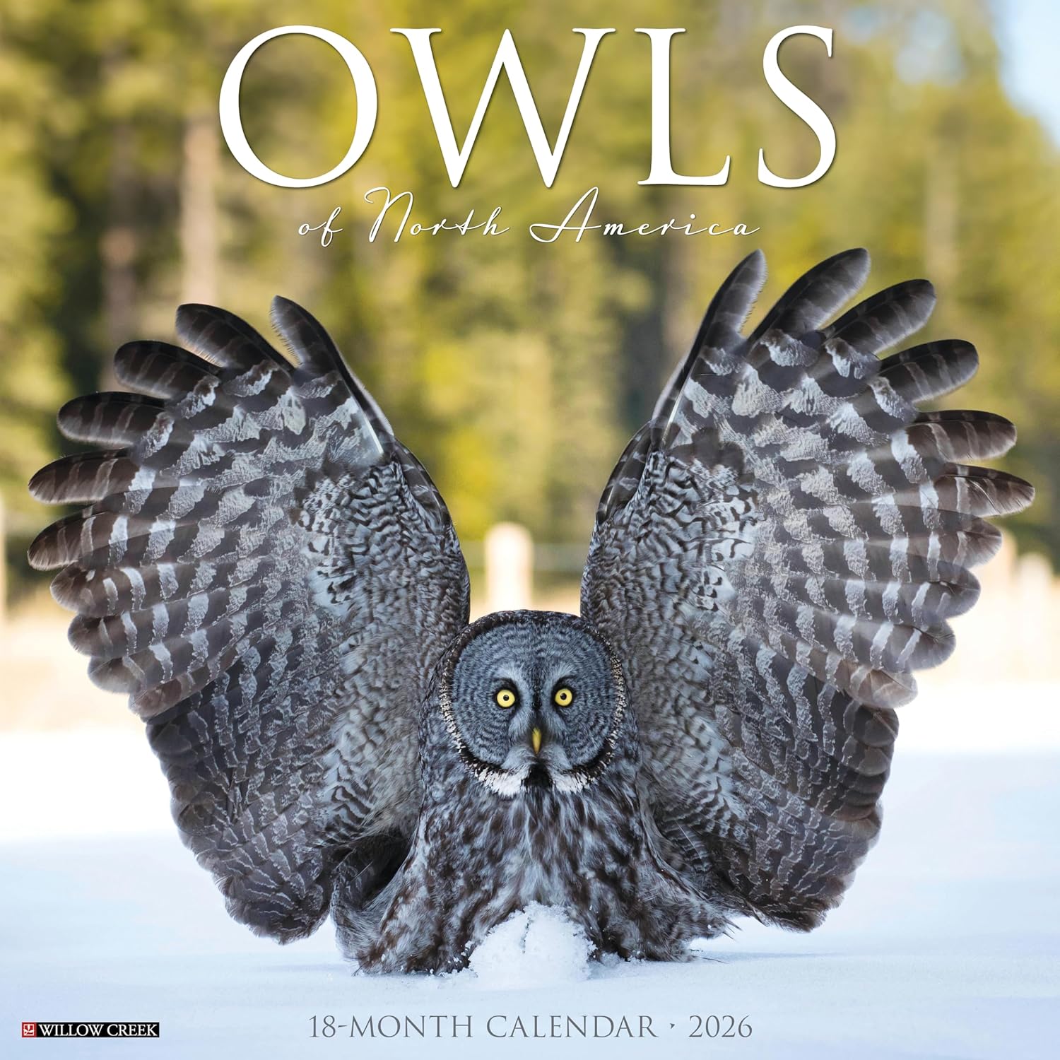 Amazon.co.jp Owls 2026 12 X 12 Wall Calendar Willow Creek Press 洋書 Amazon.co.jp Owls 2026 12 X 12 Wall Calendar Willow Creek Press 洋書