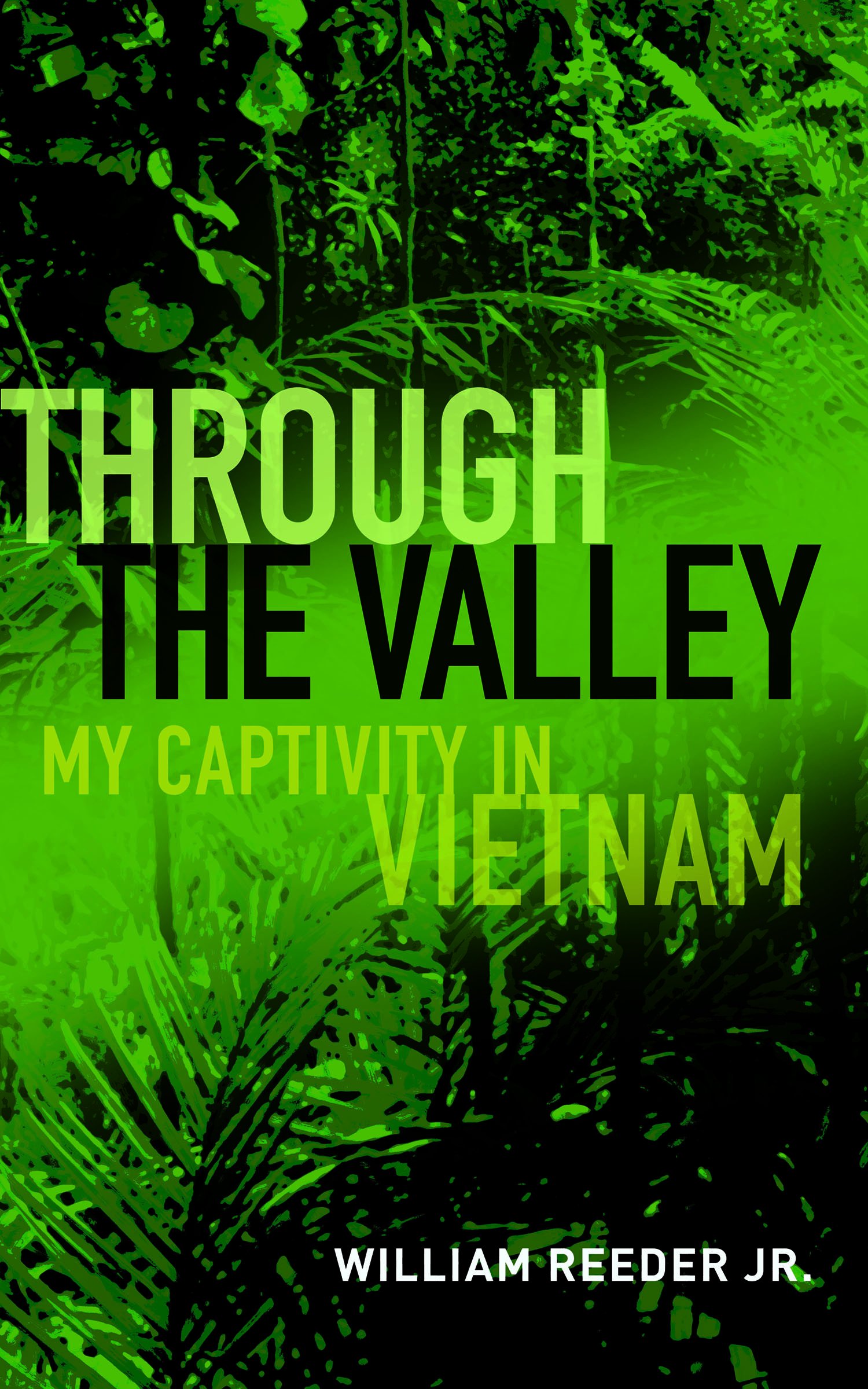 Through the Valley: My Captivity in Vietnam