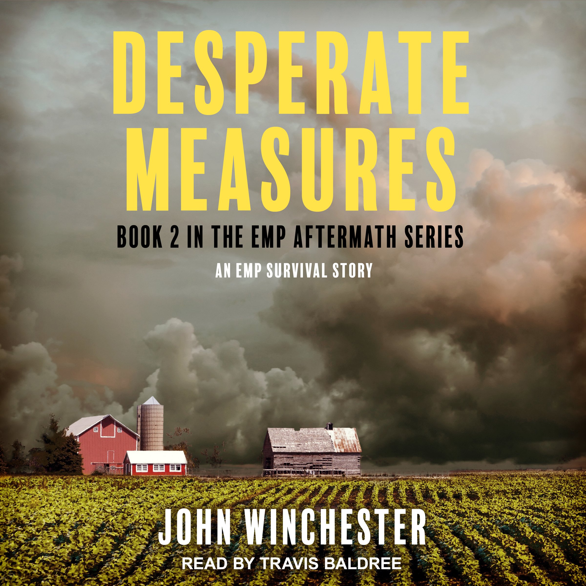Cover art for Desperate Measures